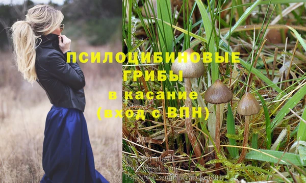 тгк Зеленодольск