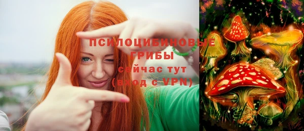 MDMA Premium VHQ Снежногорск