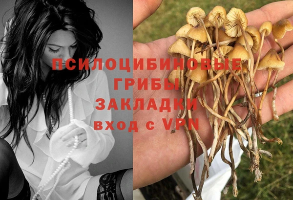 синтетический гашиш Снежинск