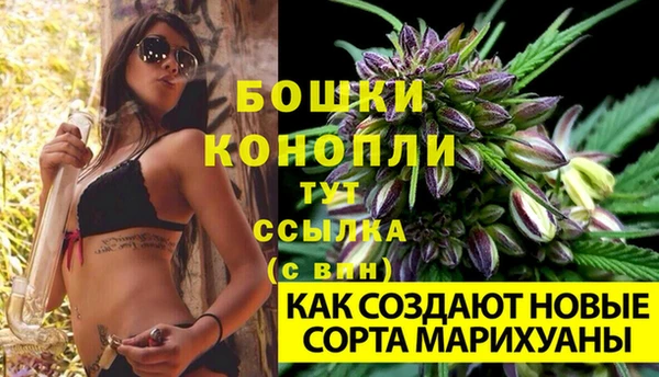 тгк Зеленодольск